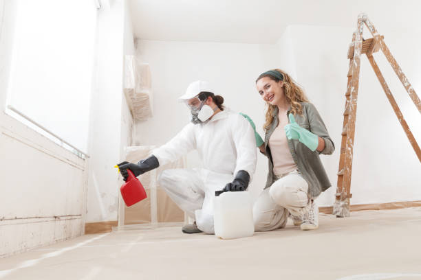 Best Air Quality Testing for Mold Spores  in Pirtleville, AZ