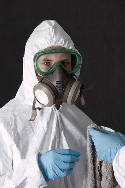 Best Basement Mold Removal  in Pirtleville, AZ